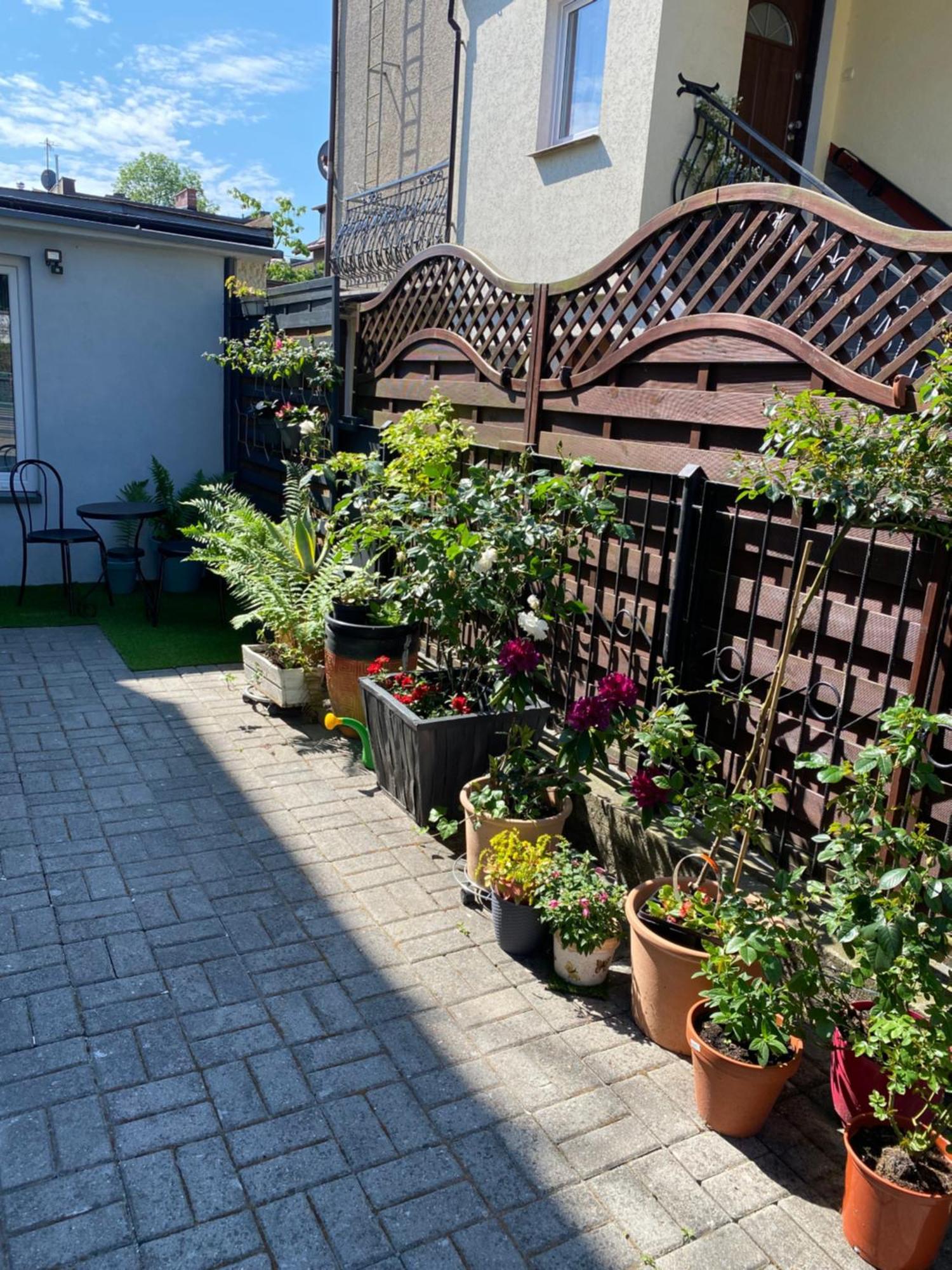 Morskie Fale Kołobrzeg Exteriör bild
